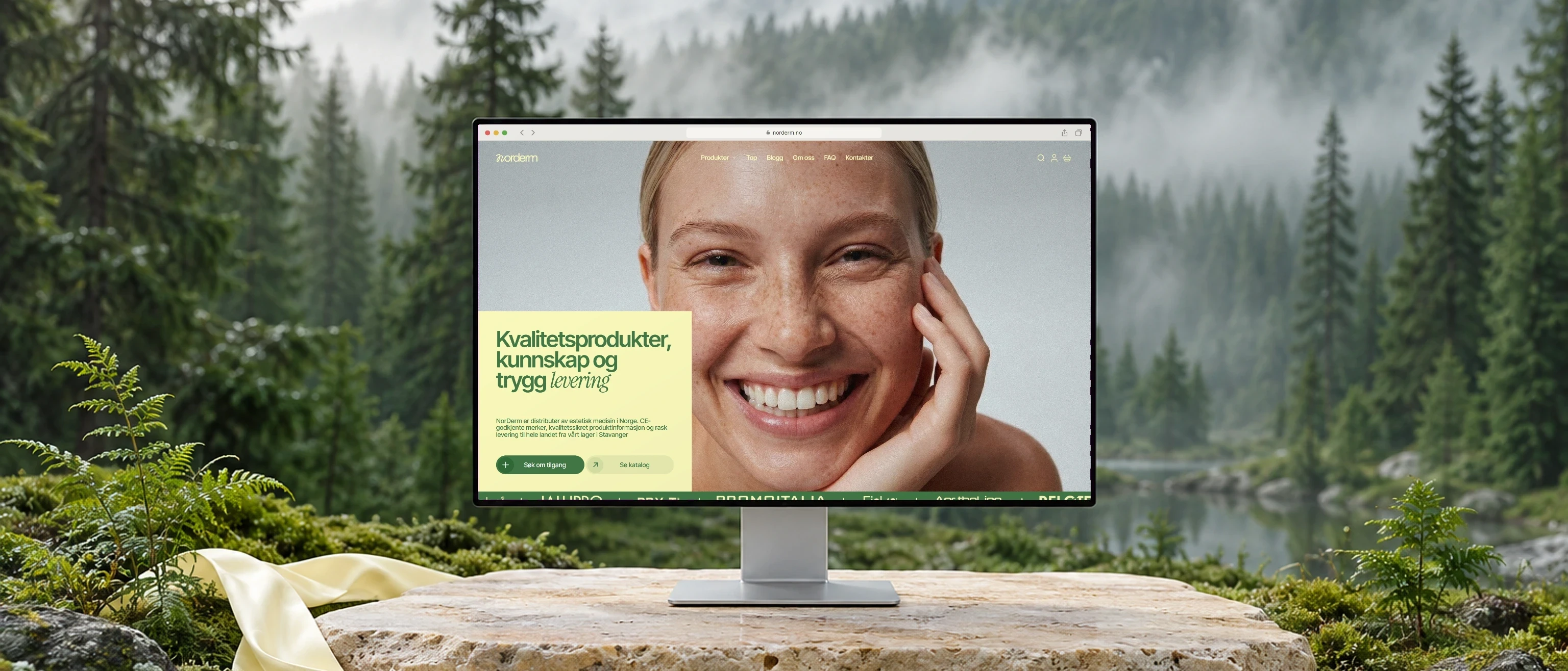 NorDerm — Fra navn til nettbutikk for estetisk medisin.